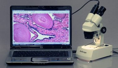 AMSCOPE Se306-az-e2