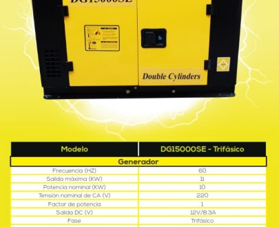 BALLACK DG15000SE (380V)