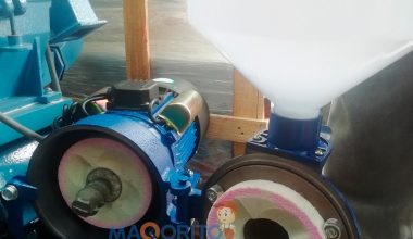 MAQORITO Disco de Piedra