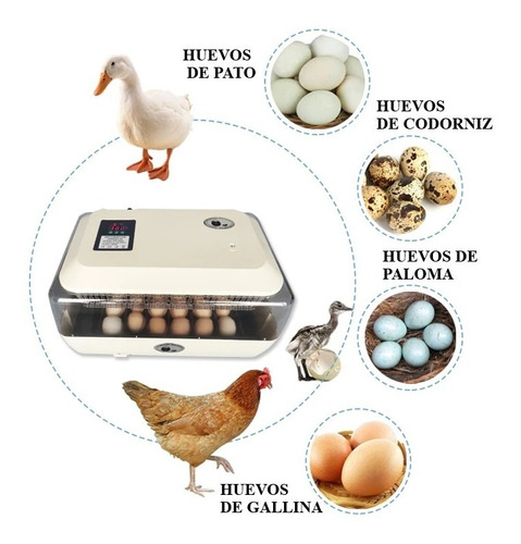Incubadora 24 huevos 