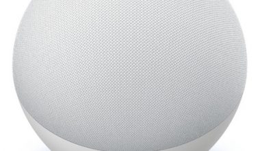 Amazon Echo Dot 1