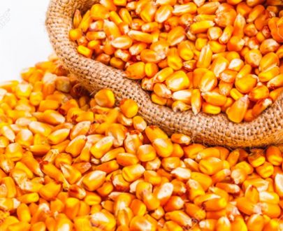 trigal Desgranadora De Maíz