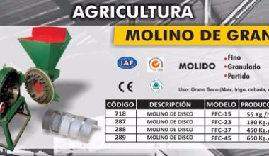 Trigal Molino De Granos