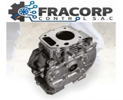 DEREK MOTORS 25210301H7