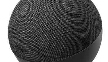 Amazon Echo Dot 4 1