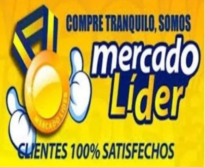 DEREK MOTORS LCC-SCC3