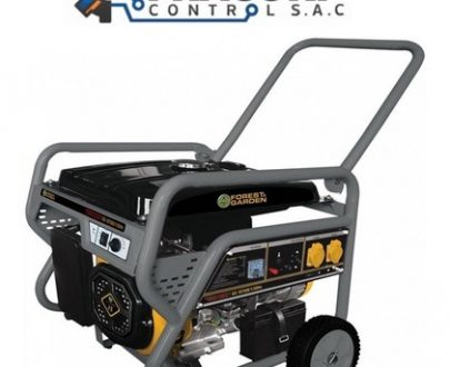 Forest & Garden Pro GG10750E/160