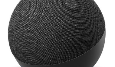 Amazon Echo Dot 4 1