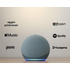 Amazon Echo Dot 4