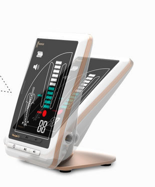 Woodpecker WOODPEX III 4