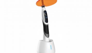 Woodpecker LED B 1