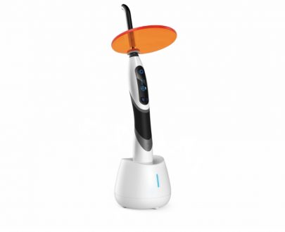 Woodpecker LED B