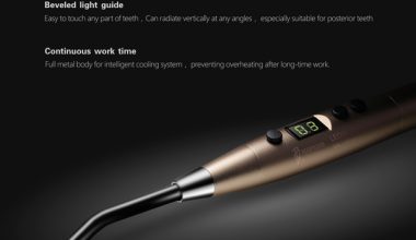 Woodpecker LED H
