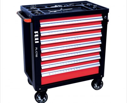 REXON PL-C700