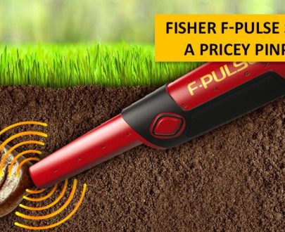 FISHER  F-PULSE