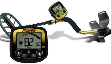 FISHER  Gold Bug-DP