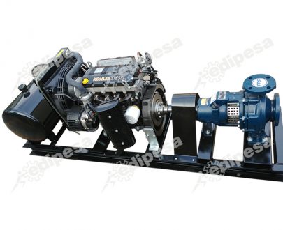 FRANKLIN ELECTRIC 3”x 2”