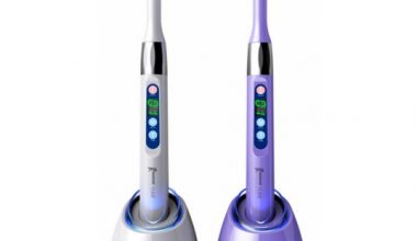 Woodpecker LED I 1