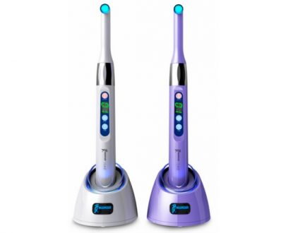 Woodpecker LED I