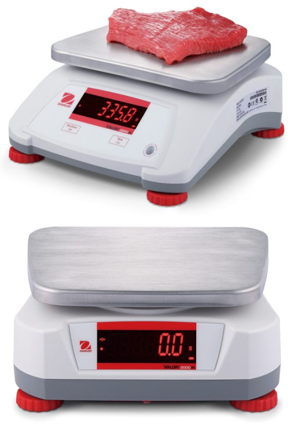 OHAUS V22PWE3T 4