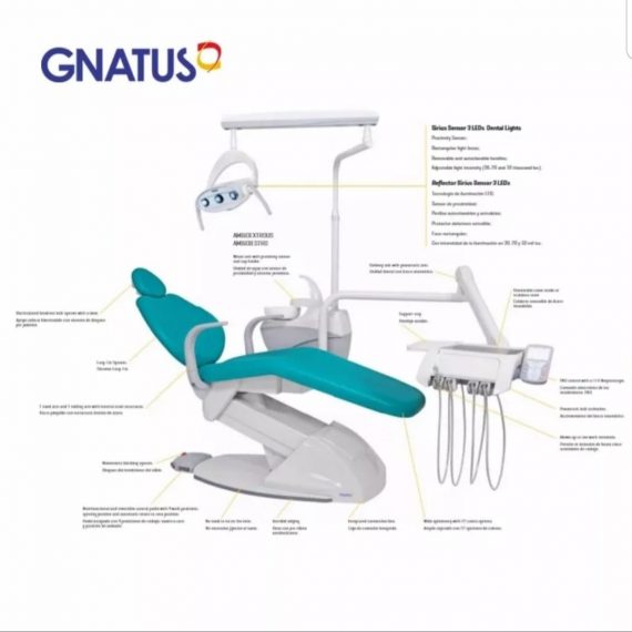 GNATUS G3 NEW F 3