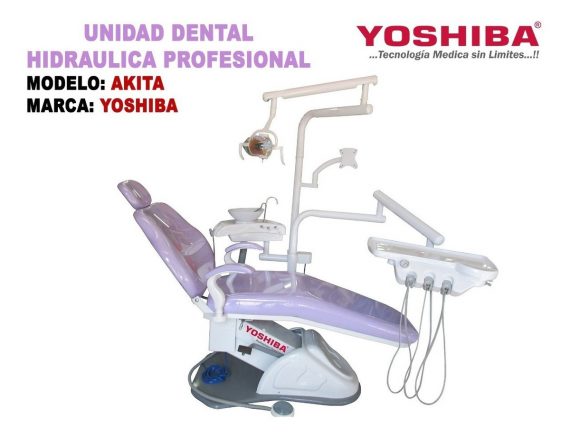 YOSHIBA AKITA 3