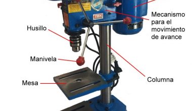 CATTINI BDP - 13