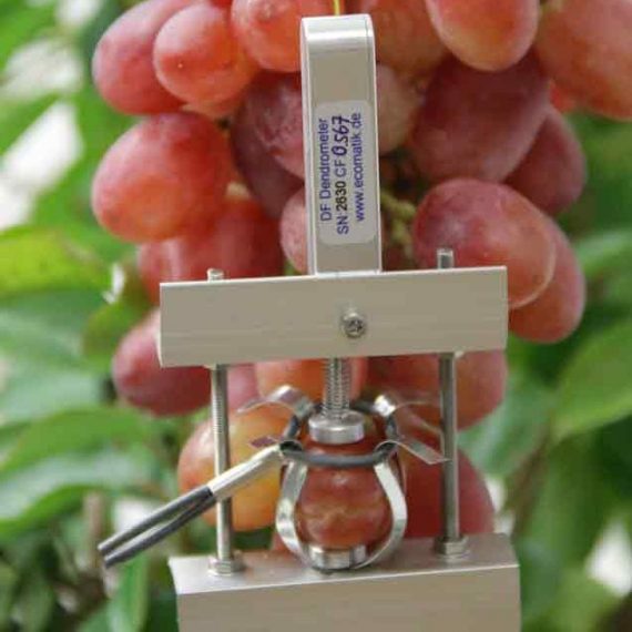 ECOMATIK DF