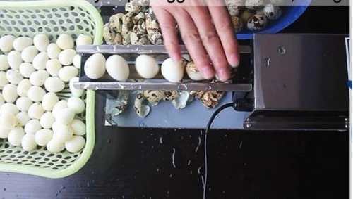 maquina de huevos