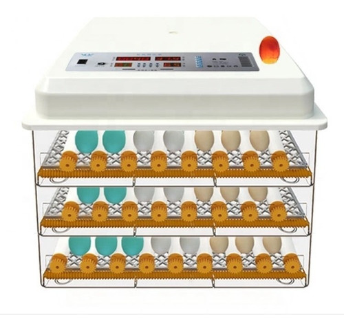 JERS 174 Huevos 3