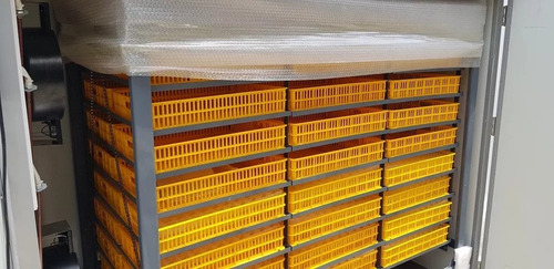 incubadora de 3168 huevos