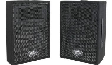 Peavey Pvi-10 1