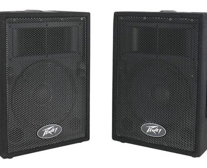 Peavey Pvi-10