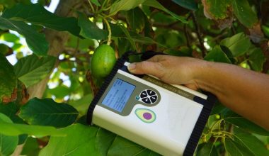 FELIXINSTRUMENTS F-751