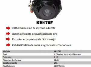 Motor Petrolero kh178fae