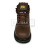 CATERPILLAR  HOLTON
