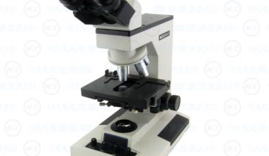 Reichert IV 05 1