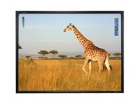 Promethean AB10T88D